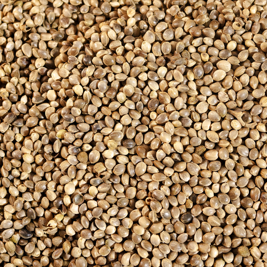 Hemp Seeds Bhang Dana 4