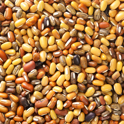 Pahadi Mix Dal