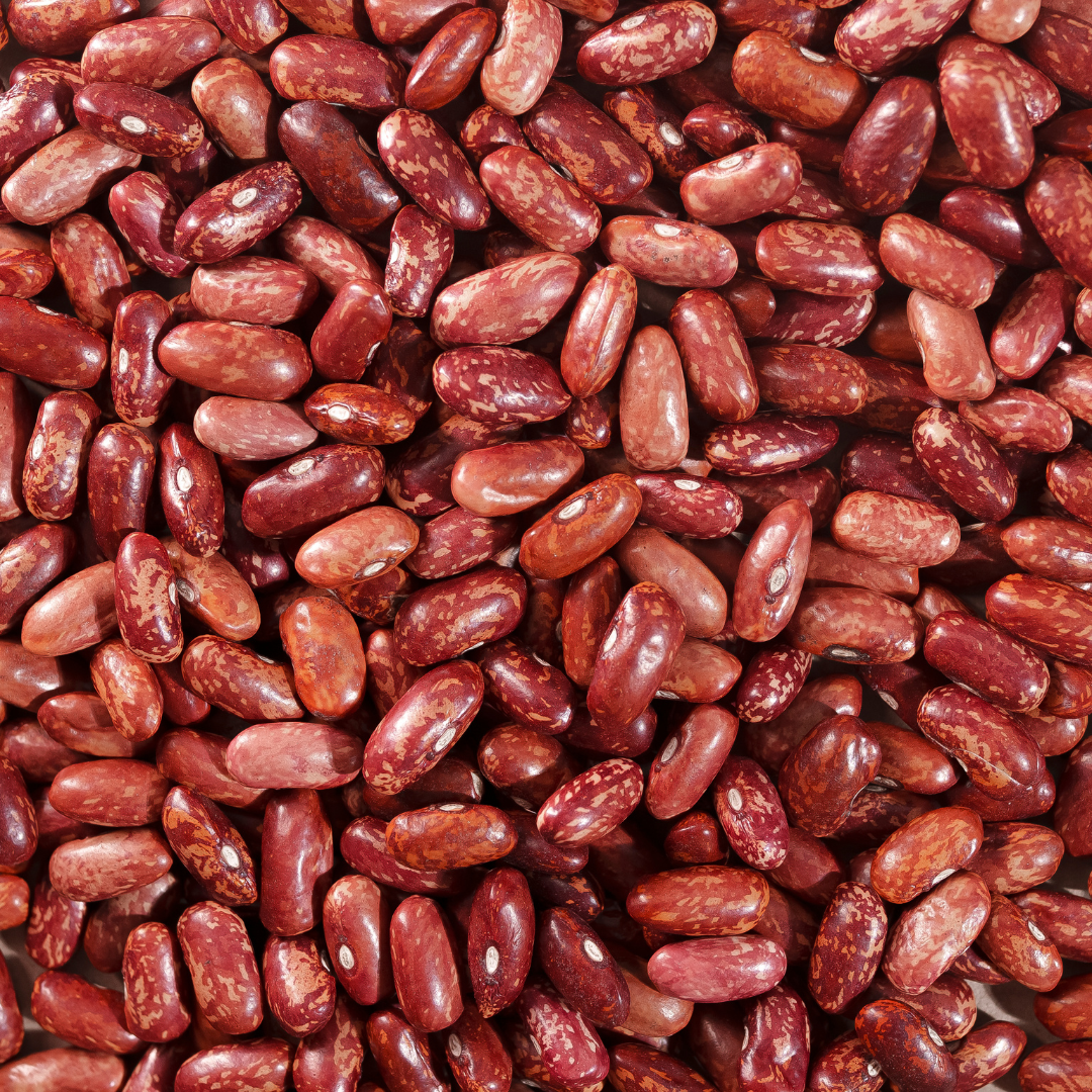 pahadi red rajma